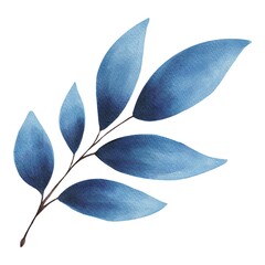 Hand Drawing Watercolor Beautiful Plant with blue Leaves illustration. Use for poster, card, print, textile, template p, fabric, pattern, stickers, wedding, celebration, birthday, packaging