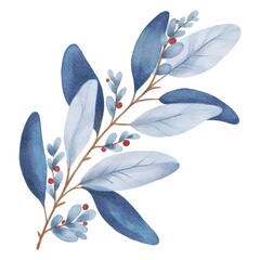 Hand Drawing Watercolor Beautiful Plant with blue Leaves and red berries illustration. Use for poster, card, print, textile, template, fabric, pattern, stickers, wedding, celebration, birthday