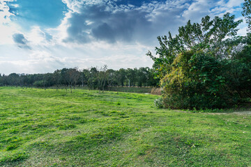 Beautiful panorama of green city park