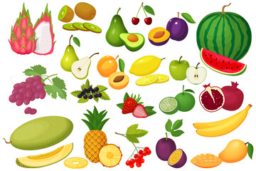 A set of berries and fruits.Colorful cartoon icons of ripe and juicy fruits isolated on a white background,avocado,lime,nutrition,pear ,apple,plum,apricot,grape,melon