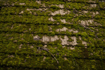 Ruined tiles on the old house.