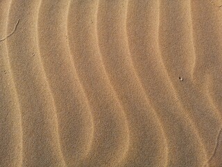 Fototapeta na wymiar wind patterned sea sand background