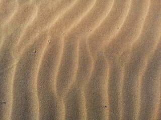 wind patterned sea sand background