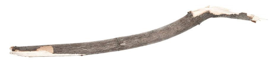 Dry tree twigs branches isolated on white background. pieces of broken wood plank. small wood chips close-up