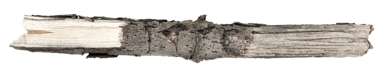 Dry tree twigs branches isolated on white background. pieces of broken wood plank. small wood chips close-up