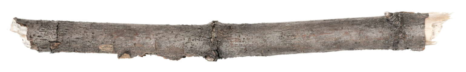 Dry tree twigs branches isolated on white background. pieces of broken wood plank. small wood chips close-up