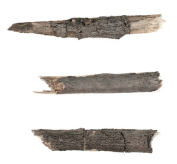 Dry tree twigs branches isolated on white background. set pieces of broken wood plank.  collage small wood chips close-up