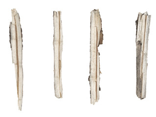 Dry tree twigs branches isolated on white background. set pieces of broken wood plank.  collage small wood chips close-up