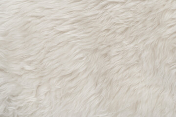 White fluffy wool texture background. natural fur texture. close-up for designers