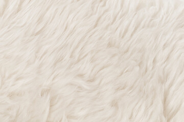 White fluffy wool texture background. natural fur texture. close-up for designers