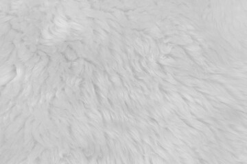 White fluffy wool texture background. natural fur texture. close-up for designers
