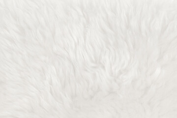 White fluffy wool texture background. natural fur texture. close-up for designers