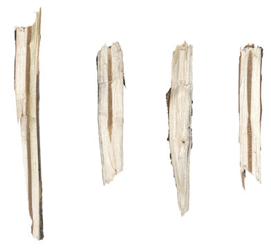 Dry tree twigs branches isolated on white background. set pieces of broken wood plank.  collage small wood chips close-up