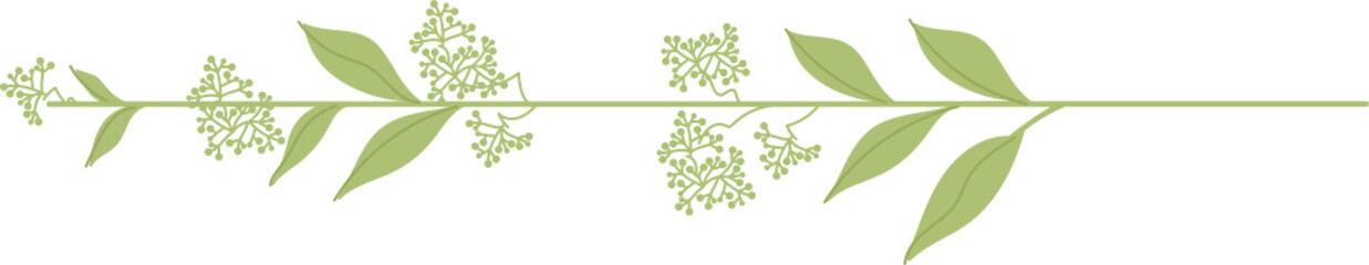 Fresh green twigs and bouquets for simple decorations