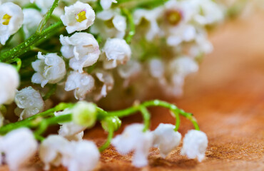 Beautiful spring lilies of the valley. Small depth of field, artistic blur