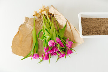 Tulips with bulbs for planting lie on craft paper