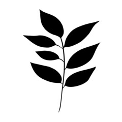 Hand drawn forest leaf, branch. Vector illustration for  card, home decor. 
Isolated on white backdrop. 