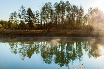 Fototapeta premium Morning landscape in the fog