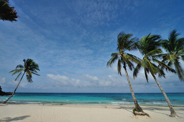 Scenic view of blue sky, coconut trees and white sandy beach of Punta Bunga Beach in Boracay Island, Philippines.