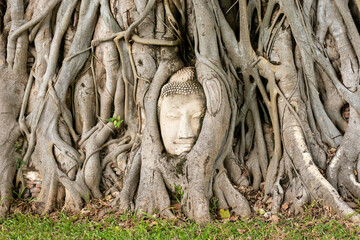 Wat Mahathat is located in the city of Ayutthaya. What stands out is the hundred-year-old Buddha head at the base of the tree.
Taken on 22-02-2022 at 16:00 Tuesday