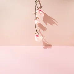 Gordijnen Branch of magnolia flowers set upside down against pink wall with sharp shadow. © Maja