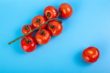 Bunch of fresh, red tomatoes with green stems flat lay isolated on blue background. Concept recipe, italian food, ingredient, juicy, nutrition, vitamins.