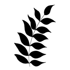 Hand drawn forest leaf, branch. Vector illustration for  card, home decor. 
Isolated on white backdrop. 