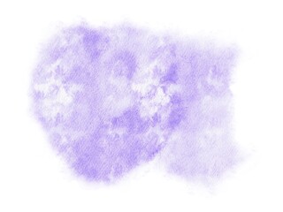 sponge isolated on white background