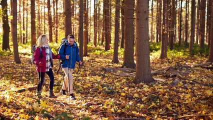 Fototapeta premium Side View Of Mature Retired Couple Walking Through Fall Or Winter Countryside Using Hiking Poles