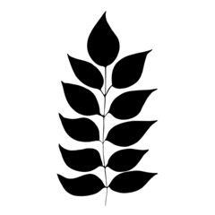 Hand drawn forest leaf, branch. Vector illustration for  card, home decor. 
Isolated on white backdrop. 