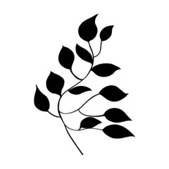 Hand drawn forest leaf, branch. Vector illustration for  card, home decor. 
Isolated on white backdrop. 