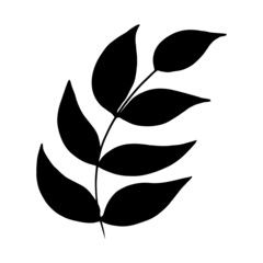 Hand drawn forest leaf, branch. Vector illustration for  card, home decor. 
Hand drawn plant for decoration 