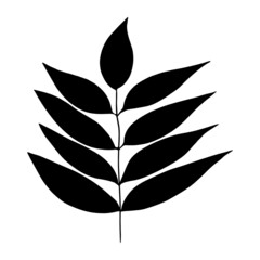 Hand drawn forest leaf, branch.
Vector illustration for  card, home decor. 
Hand drawn plant for decoration 