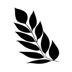 Hand drawn forest leaf, branch.
Vector illustration for  card, home decor. 
Hand drawn plant for decoration.
