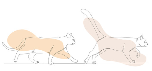 cats go drawing one continuous line vector