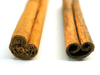 Cinnamon (Cinnamomum verum) and cassia (Cinnamomum aromaticums) ticks. Isolated on white background. End view. The difference in the appearance of spices