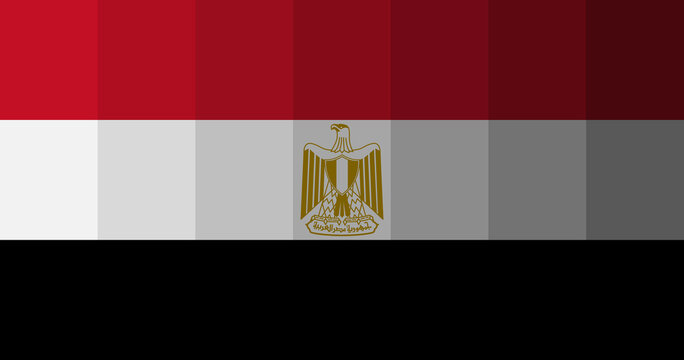 Egypt flag image background