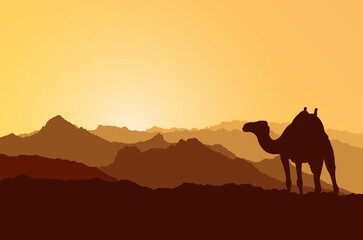 Desert landscape background with camel. Silhouette of desert and camel. Exotic landscape. Sands and dunes. Tourism and travelling.