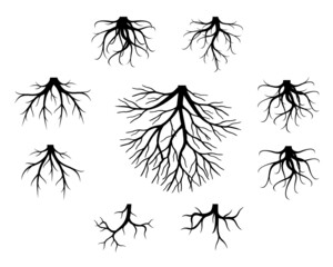 Set black Tree Roots on white background. Vector Illustration. Plant in Garden.