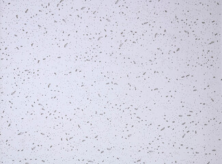 White ceiling texture backgrounds.