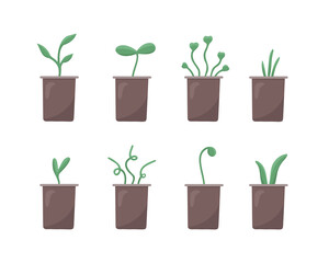 Sprouts, seedlings, green plant, grass set. Nature symbol, spring, summer garden, agriculture, ecology sign. Vector Illustration for background, poster, seasonal design. Isolated on white background.