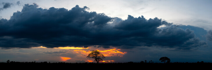 Panorama Dark sky and dramatic black cloud before rain.rainy storm over rice fields with rural road,Thailand,ASIA.