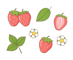 Summer berries set of strawberry	
