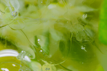 macro shot of caipirinha glass