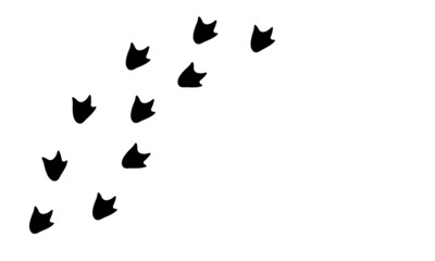 Dinosaur footprints. Dino trail black silhouette isolated on white background. Vector