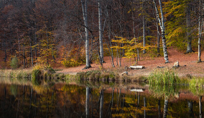 Gosh Lake during Autumn