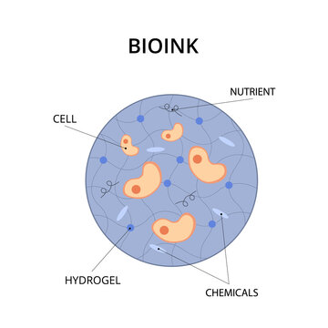 Bioink containing cells, nutrients, chemicals and hydrogel for medical 3D printing. Bioprinting, creating internal organs for transplantation. Innovation implantation