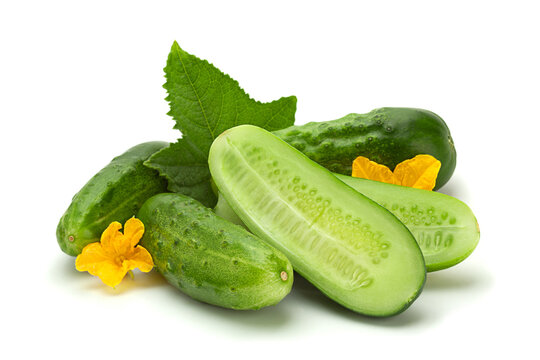 cucumber vegetable closeup on white
