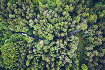 Bird's eye view a bus passing on the road leading through the forest
