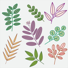 simplicity floral leaf drawing flat design collection.